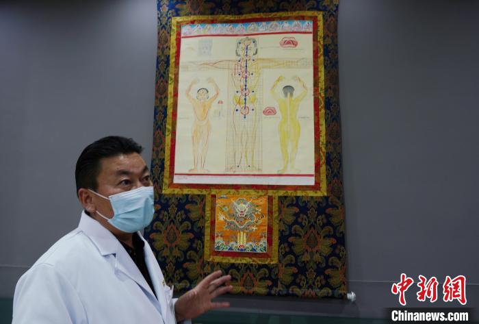 圖為興?？h藏醫(yī)院院長介紹藏醫(yī)四部醫(yī)典詳實(shí)圖?！●R銘言 攝