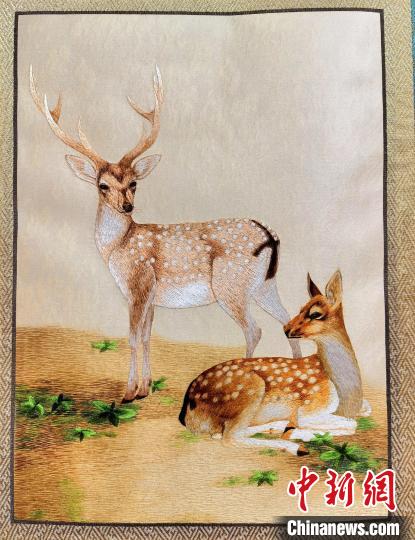 圖為藏繡作品?！∑钤鲚?攝