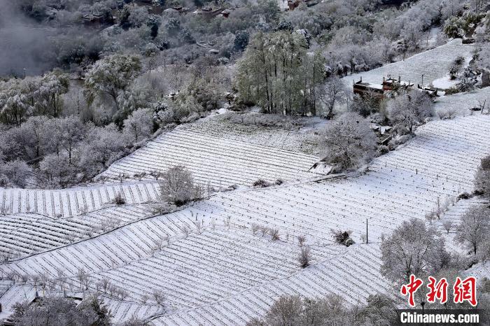 雪后的高山田間如畫?！±钣腊?攝