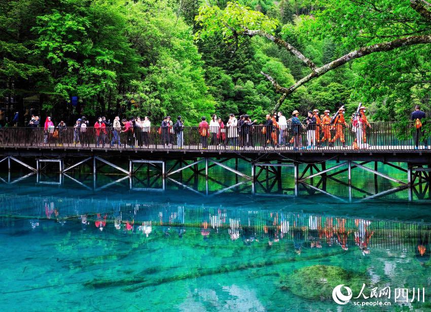 在景區(qū)內(nèi)開展森林防火宣傳和攜裝巡護。程雪力攝