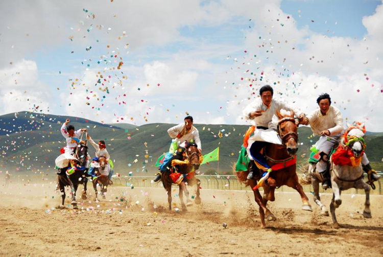 草原賽馬。阿壩州新聞傳媒中心供圖