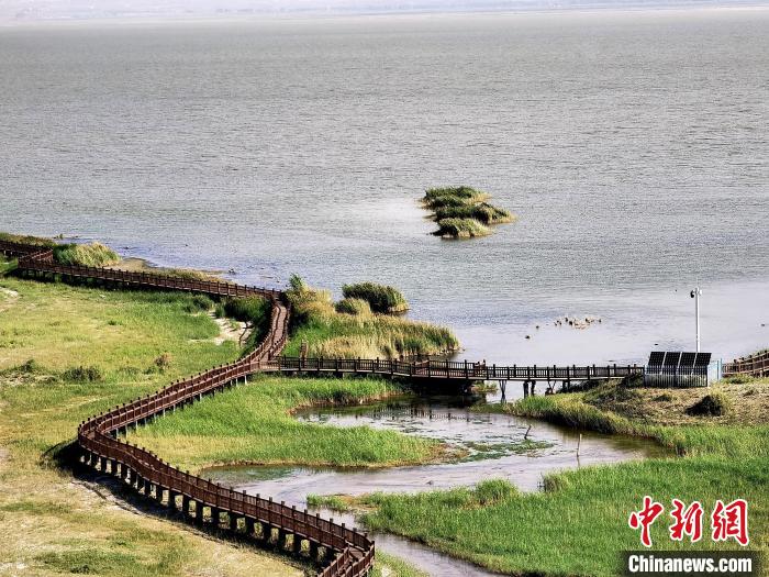 圖為都蘭湖國(guó)家濕地公園觀光棧道?！∑钤鲚?攝