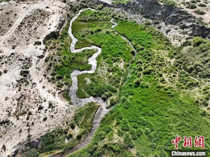 圖為航拍都蘭湖國(guó)家濕地公園綠意盎然?！∑钤鲚?攝
