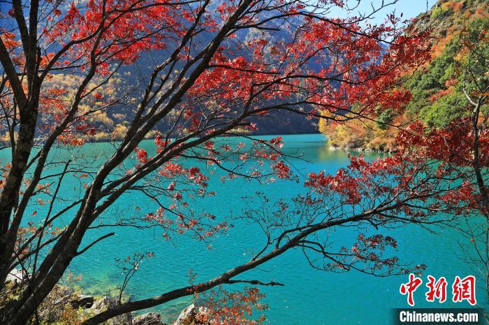 松坪溝風(fēng)光?！『吻搴?攝