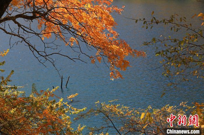 松坪溝風(fēng)光。　劉通 攝