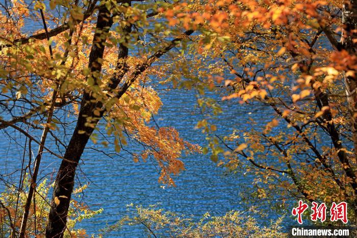 松坪溝風(fēng)光?！⑼?攝