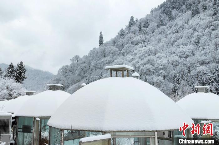 大熊貓國(guó)家公園王朗片區(qū)春雪如畫，宛若仙境。　羅春平 攝