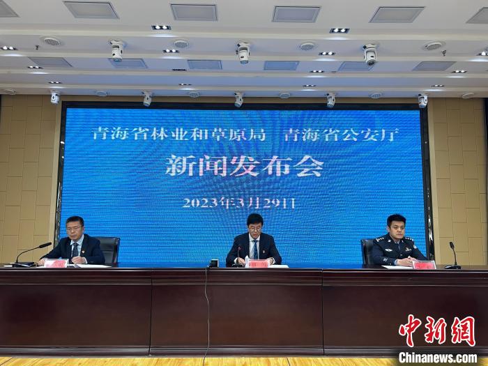 青海去年占用林地、草地準(zhǔn)予許可件同比實(shí)現(xiàn)“雙減”
