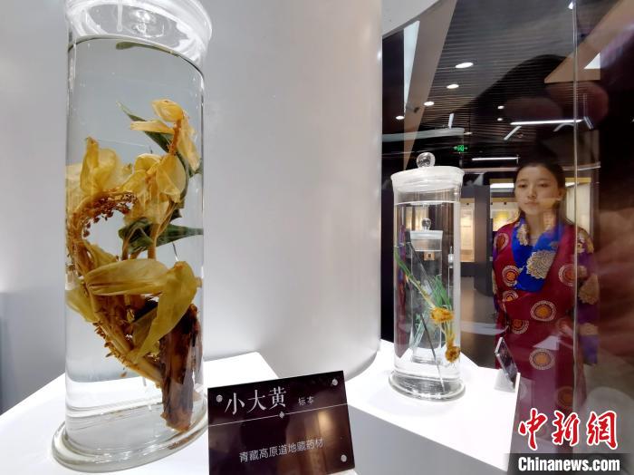 青海中藏醫(yī)藥發(fā)展提速：建設一批重點專科學科，推廣一批適宜技術