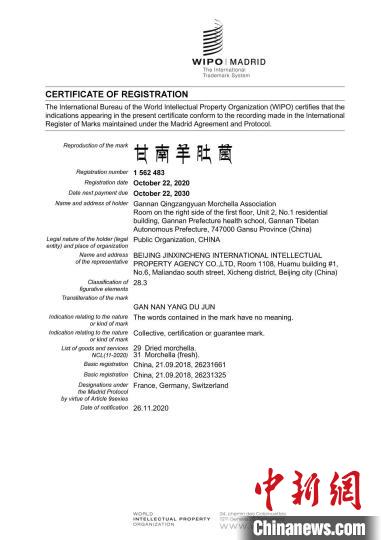 圖為“甘南羊肚菌”國際商標(biāo)注冊證書。(資料圖) 甘南州市場監(jiān)管局供圖