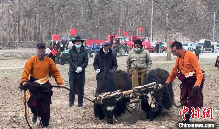 圖為活動(dòng)現(xiàn)場(chǎng)當(dāng)?shù)厝罕娬故緜鹘y(tǒng)春耕方式?！±罱瓕?攝