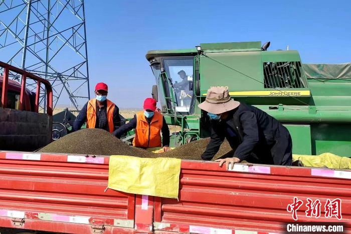 圖為合作社工作人員準(zhǔn)備播種。(資料圖) 張海蓮 攝