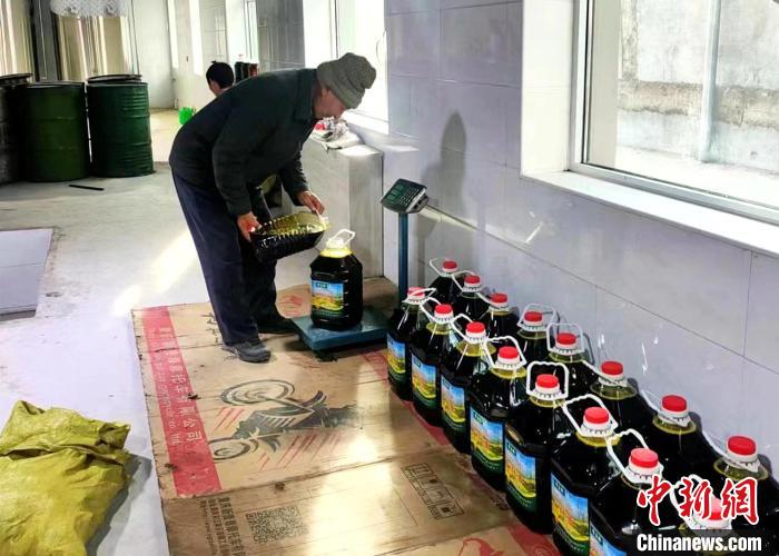 圖為高原油菜籽榨出的菜籽油?！埖么?攝