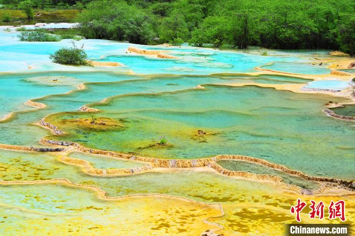 圖為黃龍景區(qū)?！“苍?攝