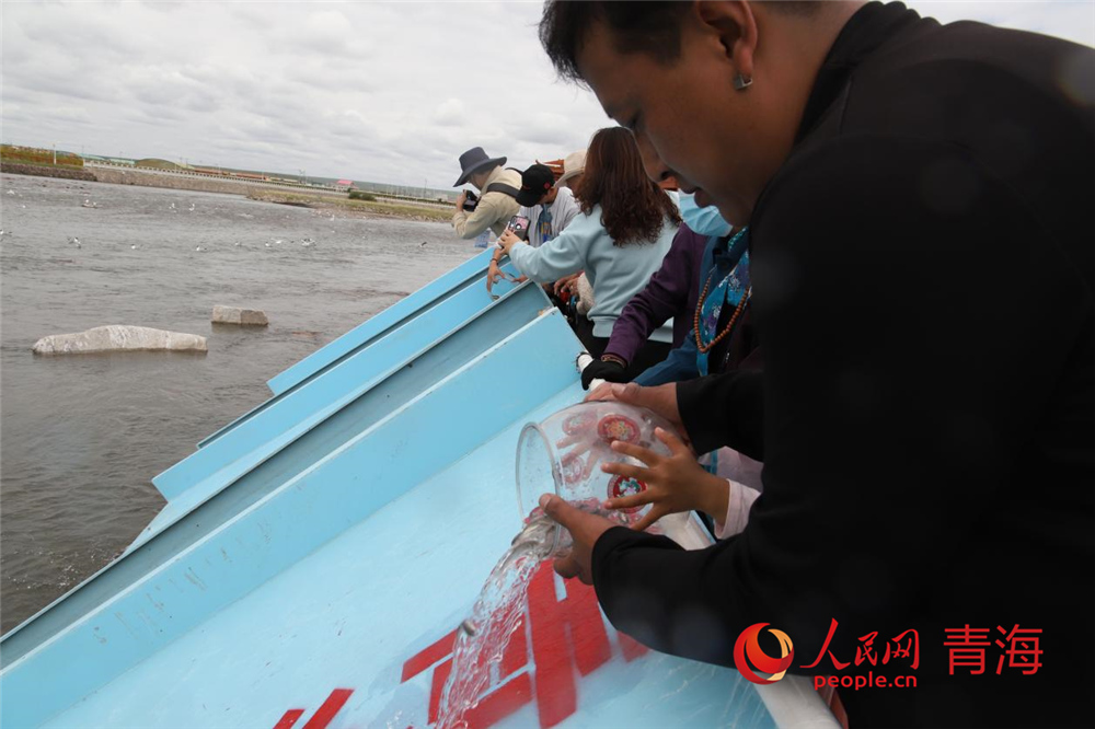 群眾放流青海湖裸鯉。人民網(wǎng) 陳明菊攝
