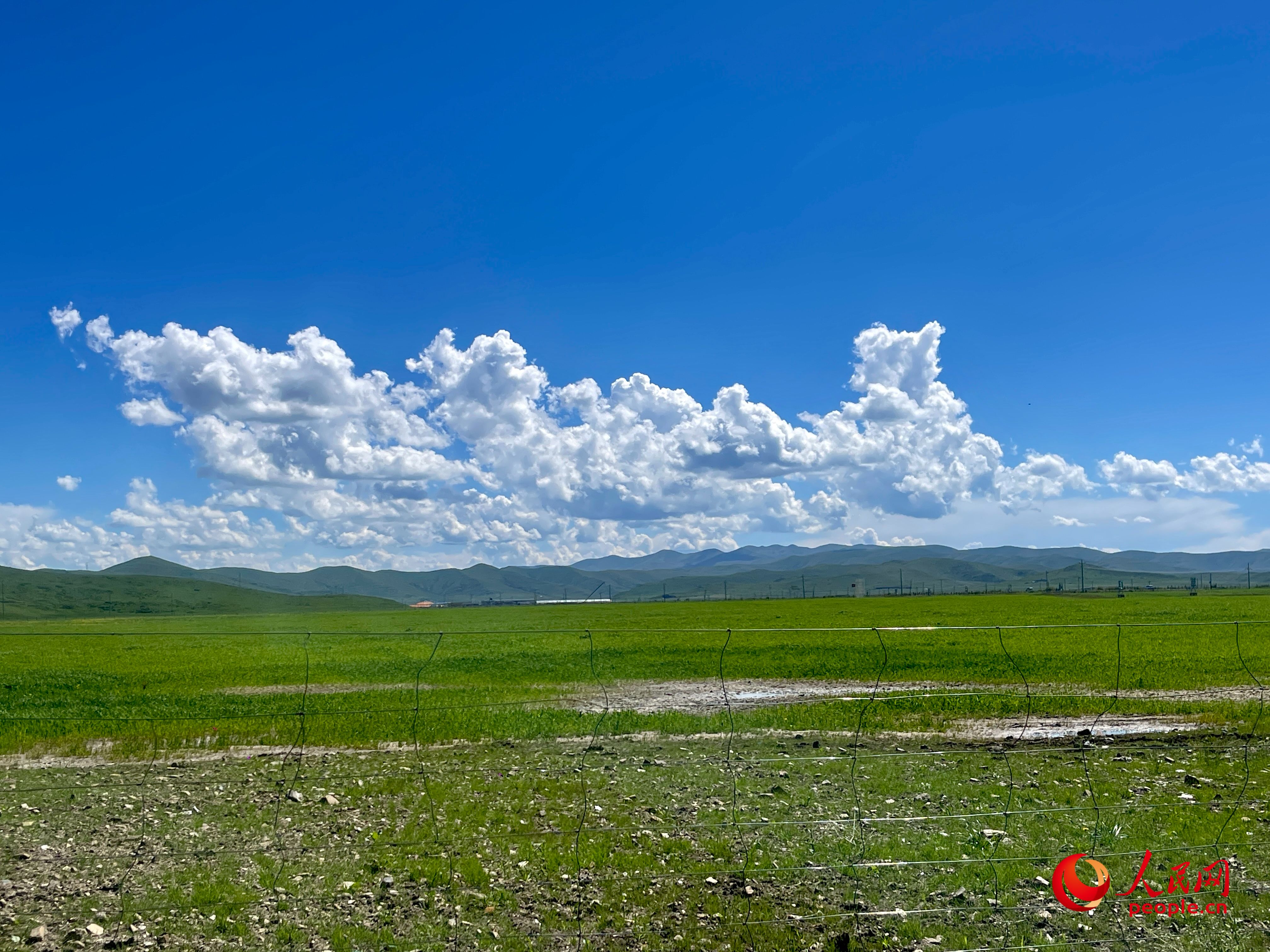 唐日合作社附近，藍天白天、綠草如茵。人民網(wǎng) 周靜圓攝