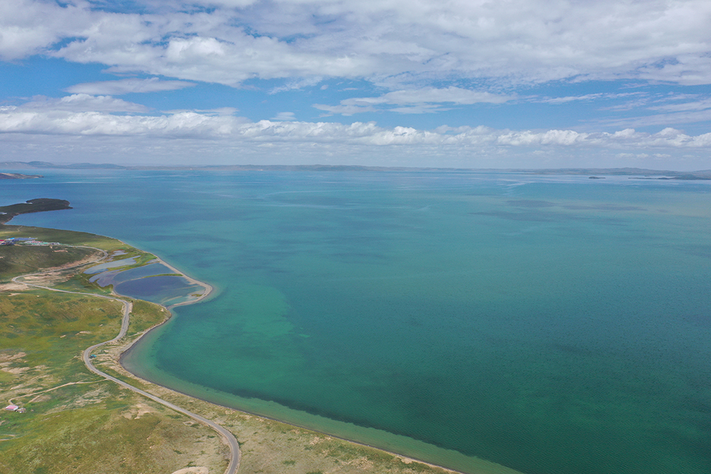 大自然的生態(tài)美學(xué)！黃河源園區(qū)哪一抹色彩最讓你心動？