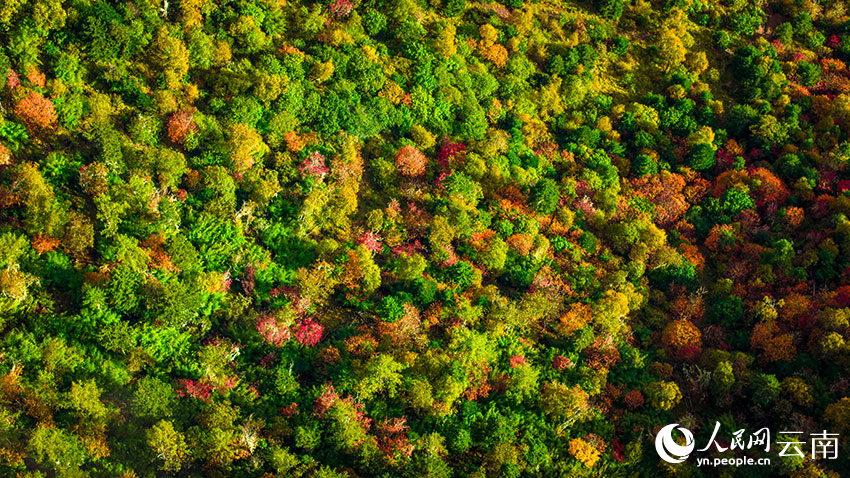 秋日普達(dá)措。格瑪攝