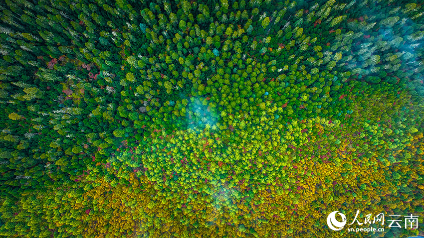 秋日普達(dá)措。格瑪攝