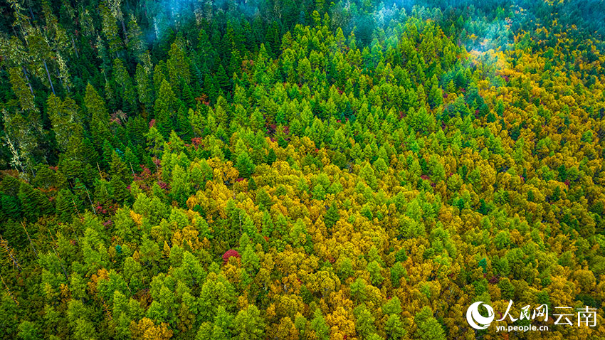 秋日普達(dá)措。格瑪攝