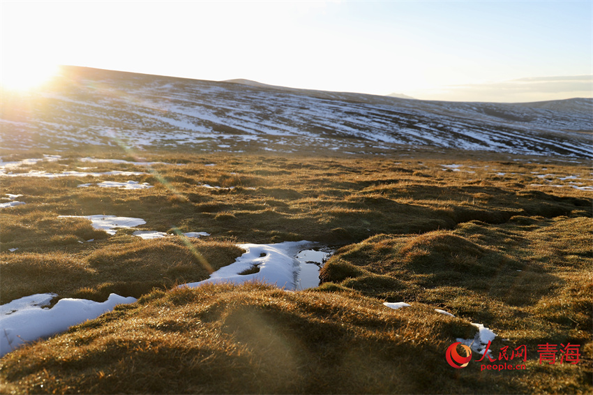 黃河源頭落日余暉。人民網(wǎng) 陳明菊攝