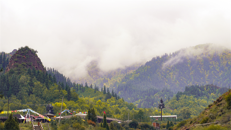 秋韻坎布拉。羊格東智攝