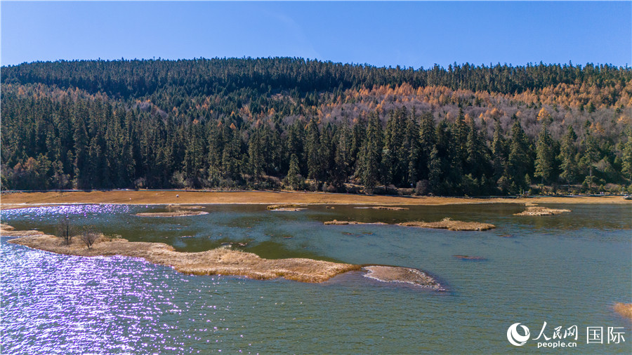 屬都湖畔，層林盡染。人民網(wǎng)記者 虎遵會(huì)攝