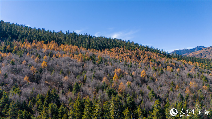香格里拉國(guó)家公園一角。人民網(wǎng)記者 虎遵會(huì)攝