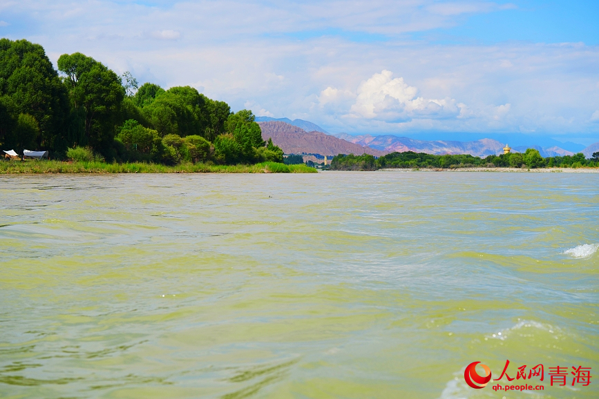 天下黃河貴德清。人民網(wǎng) 陳明菊攝