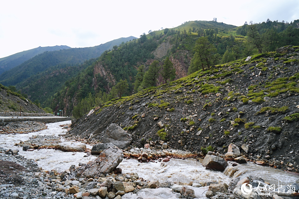 大拉洞管護(hù)區(qū)。人民網(wǎng) 陳明菊攝