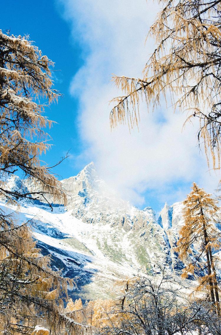 臺(tái)灣青年：尋美川藏線是令人震撼和難忘的旅程