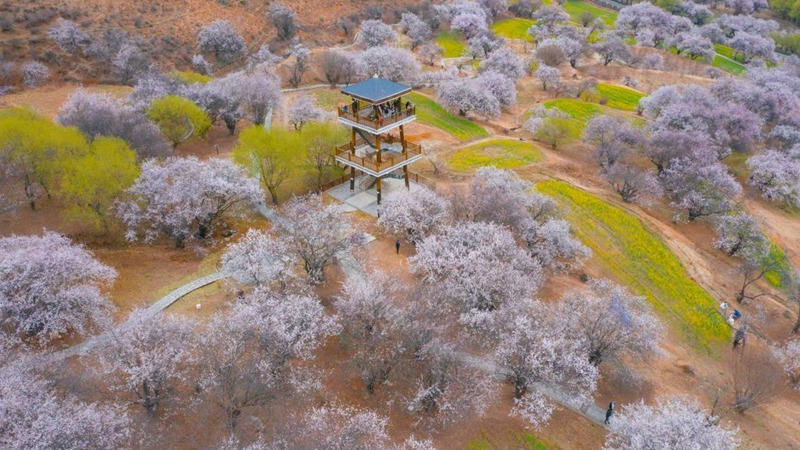 林芝嘎拉村。 張靜攝