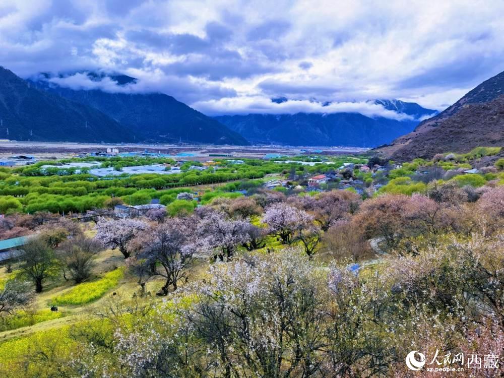 桃花從中的“童話小鎮(zhèn)”。人民網(wǎng) 李海霞攝
