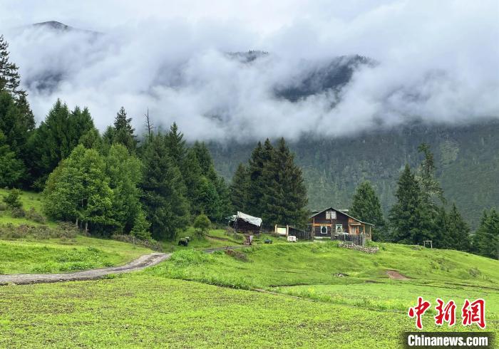 6月10日，魯朗小鎮(zhèn)高山牧場景區(qū)風(fēng)光?！∪轿木?攝