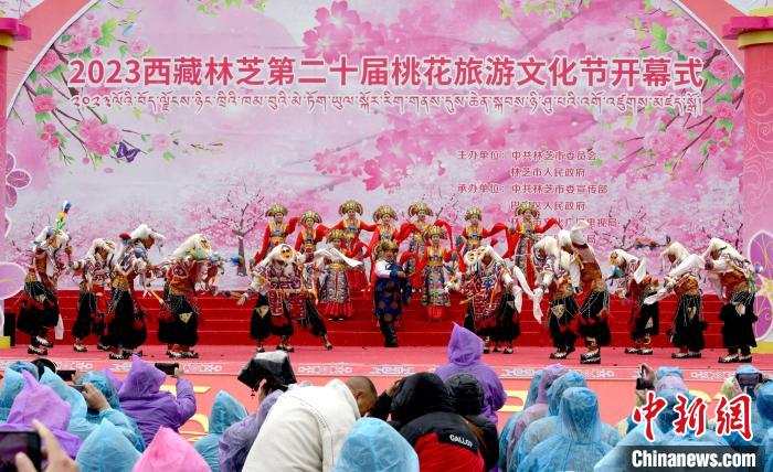 3月28日，西藏林芝第二十屆桃花旅游文化節(jié)開幕式上的文藝表演。　李林 攝