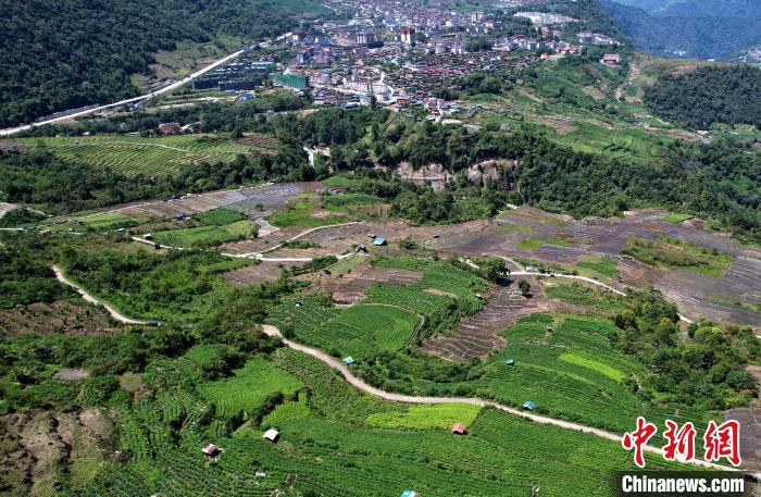 圖為西藏林芝市墨脫縣城附近的茶田。(無(wú)人機(jī)照片) 李林 攝