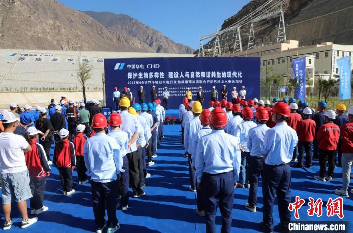 圖為蘇洼龍水電站魚類放流現(xiàn)場?！√K洼龍水電站供圖
