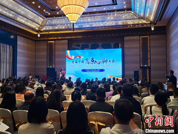 圖為首屆中國高原心胸大會現(xiàn)場?！☆D旦旺姆 攝