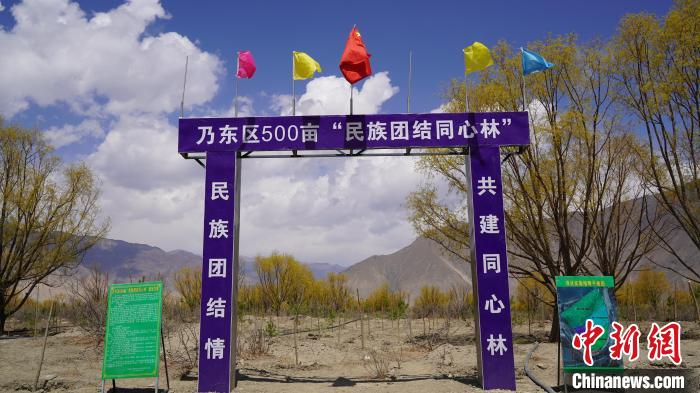圖為“民族團(tuán)結(jié)同心林”項(xiàng)目?！∧藮|融媒供圖