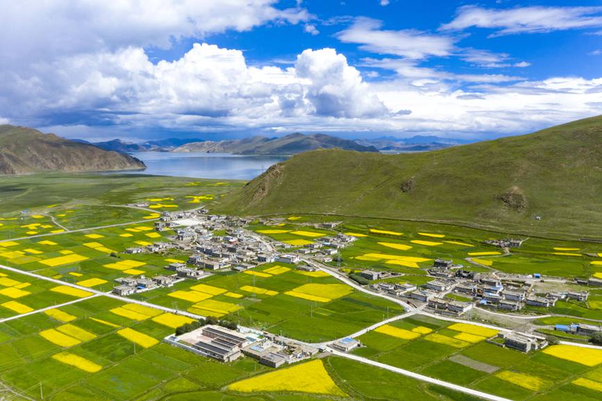 航拍道布龍村，依山傍水，阡陌縱橫。