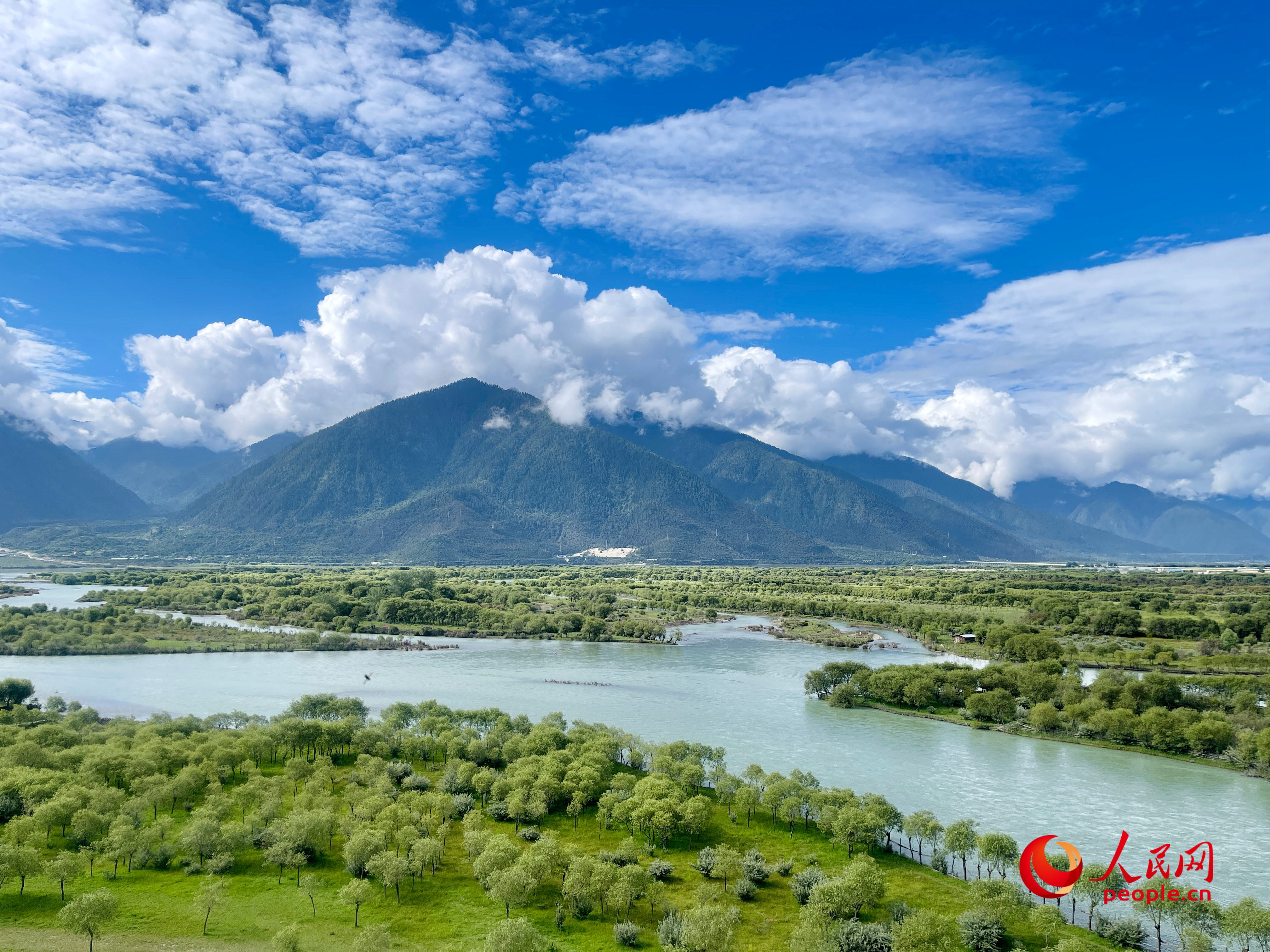 夏日的雅尼國家濕地公園生機盎然，如詩如畫。人民網(wǎng) 周靜圓攝
