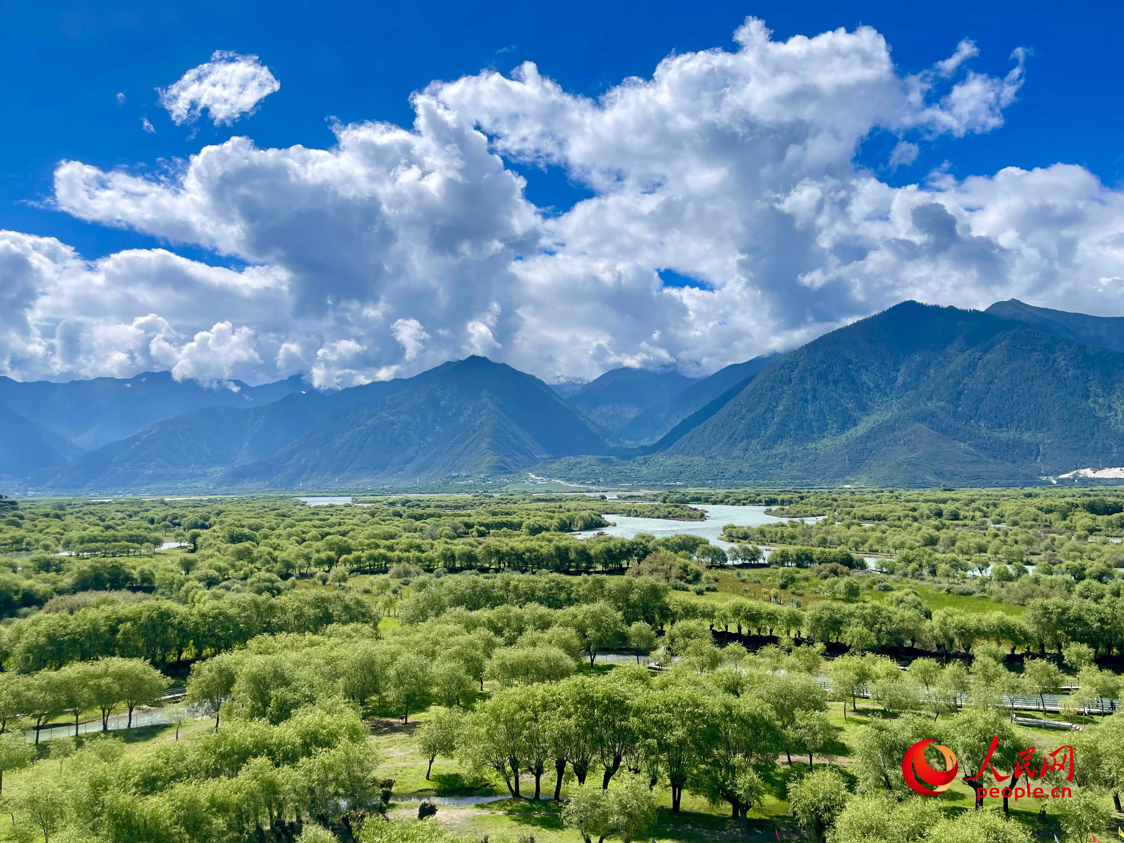 夏日的雅尼國家濕地公園生機盎然，如詩如畫。人民網(wǎng) 周靜圓攝