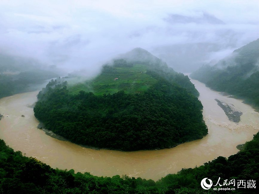雅魯藏布江大峽谷蛇形拐彎處，山坡上種滿茶樹(shù)。