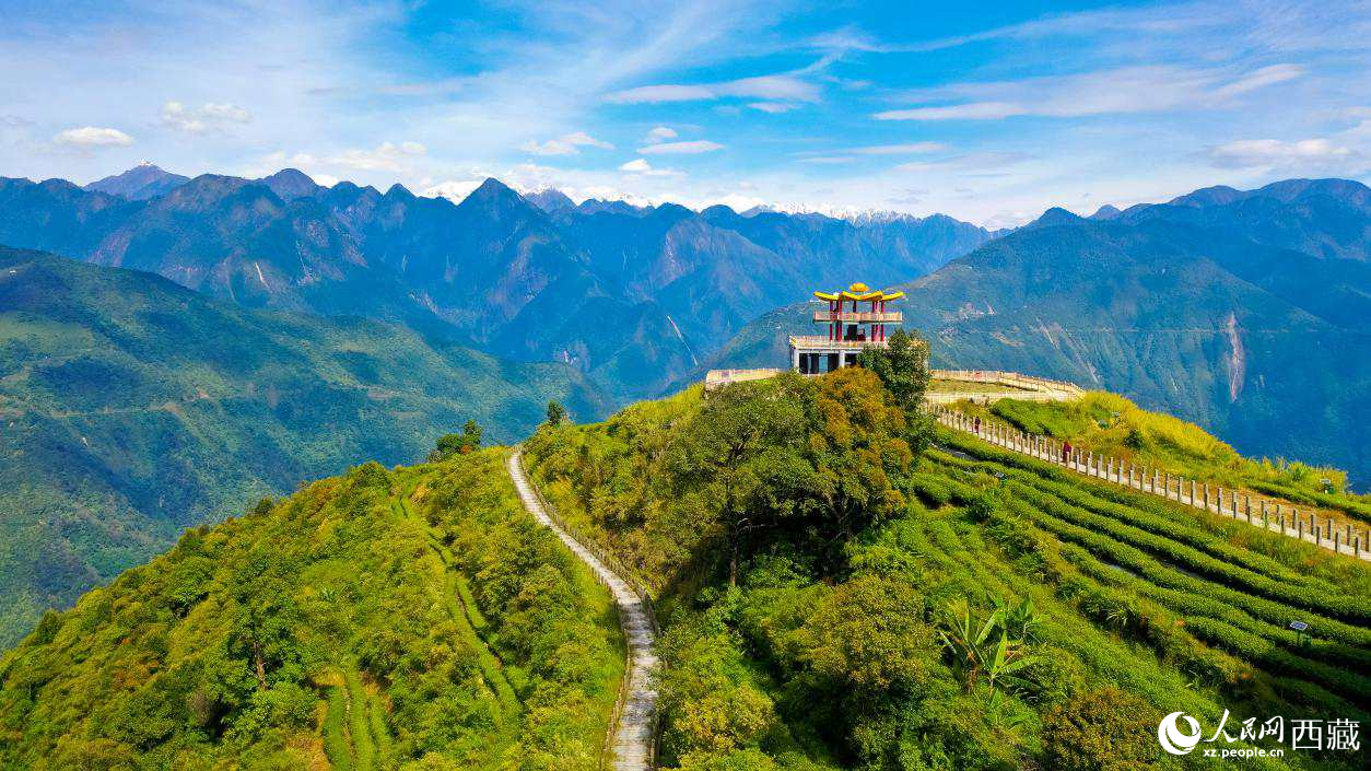 無人機航拍墨脫縣格林村蓮花觀景臺。人民網(wǎng)記者 次仁羅布攝