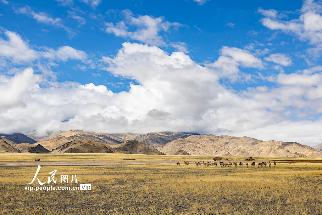 西藏阿里:高原公路建設(shè)忙【10】