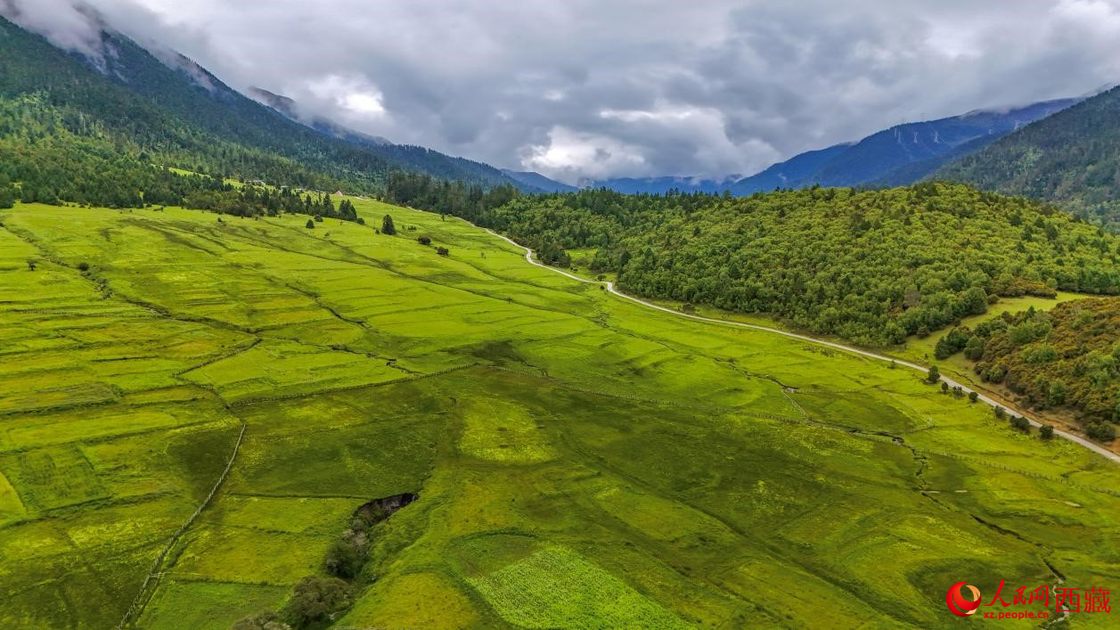 圖為航拍高山牧場鳥瞰圖。人民網(wǎng)記者 次仁羅布攝