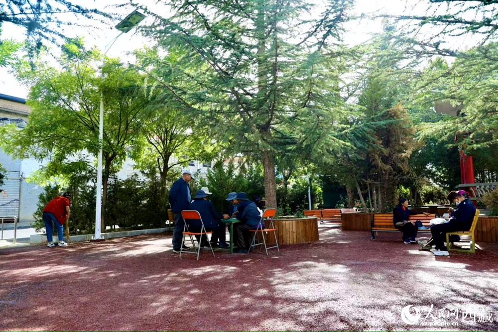 老人們在綠樹成蔭的“社區(qū)會客廳”中對弈休憩。人民網(wǎng)記者 次仁羅布攝