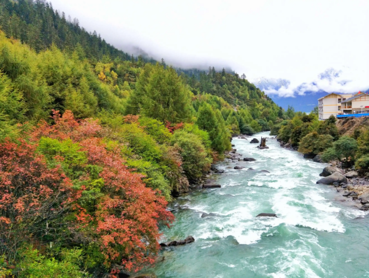 懂西藏的人，一定不會(huì)錯(cuò)過林芝的秋天