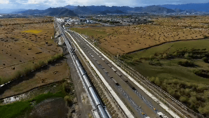 青稞“蛻變”，牦牛“出圈”！看西藏農(nóng)牧民的“十四五”豐收答卷