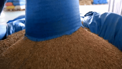 青稞“蛻變”，牦?！俺鋈Α保】次鞑剞r(nóng)牧民的“十四五”豐收答卷